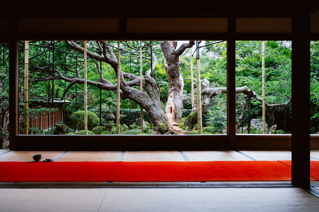 Jardin zen : comment en créer un en 7 étapes concrètes