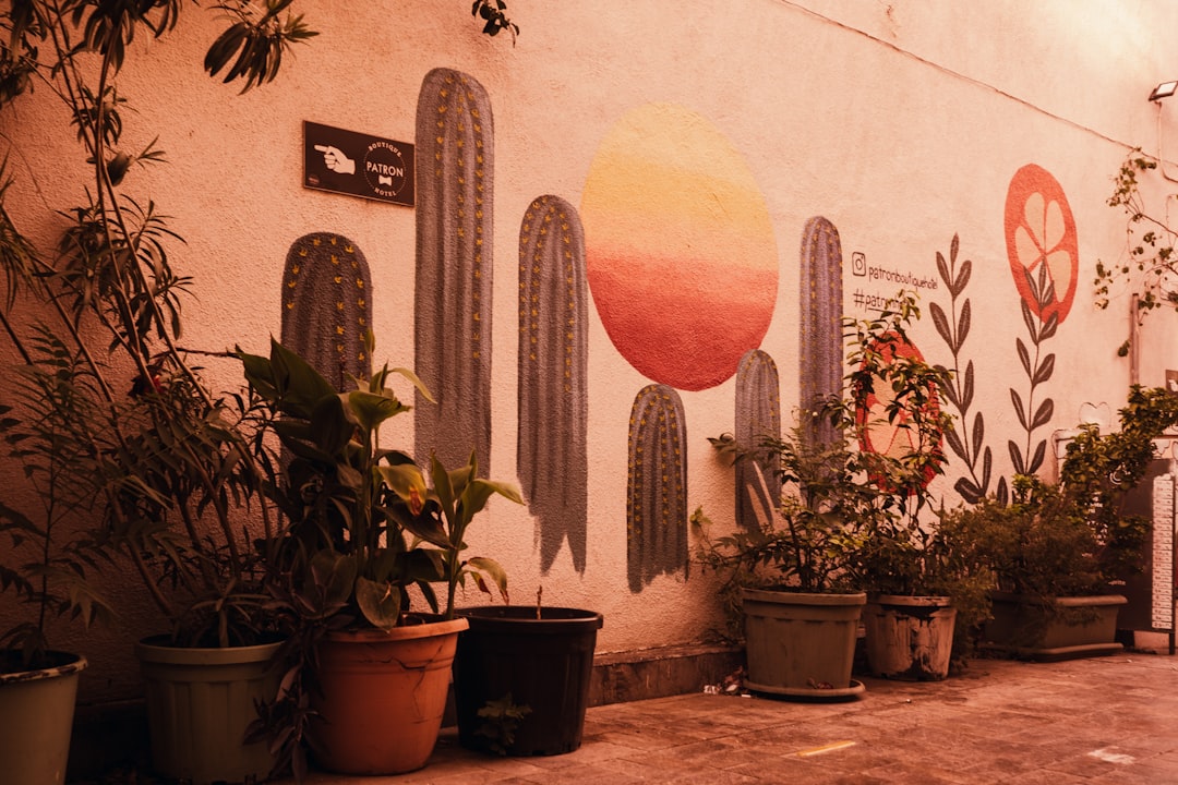 Jardins et cours mexicains : idées et photos pour s'inspirer