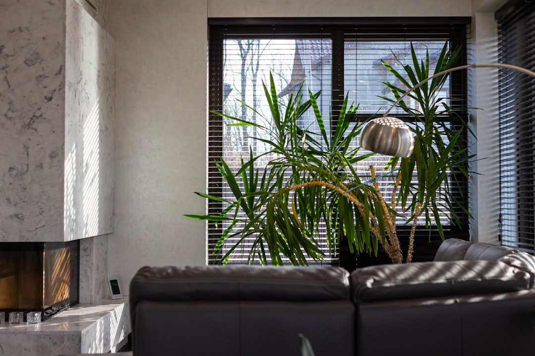 Tuile transparente : prix, pose et usages pour éclairer naturellement