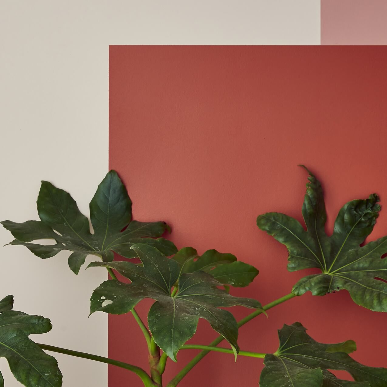 Couleurs dinterieur de mur et de peinture a la mode 2026 - inspiration decoration