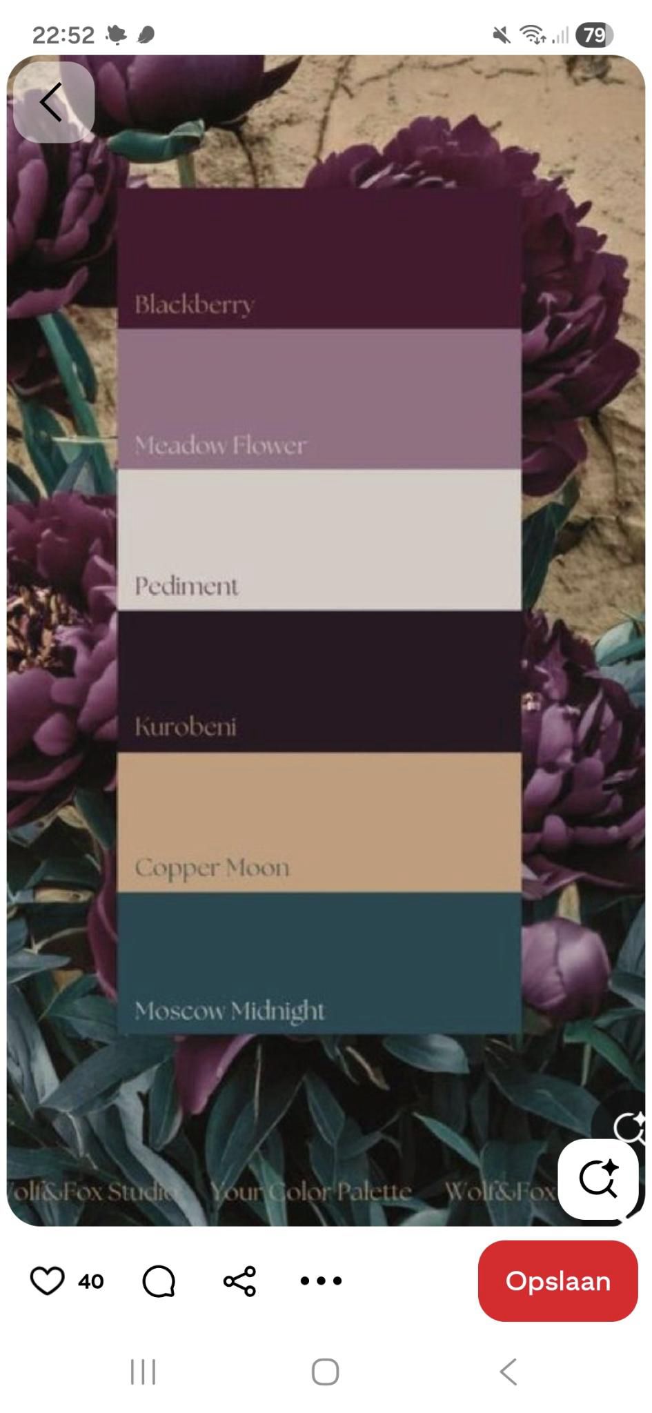 Couleur taupe - idees et tendances