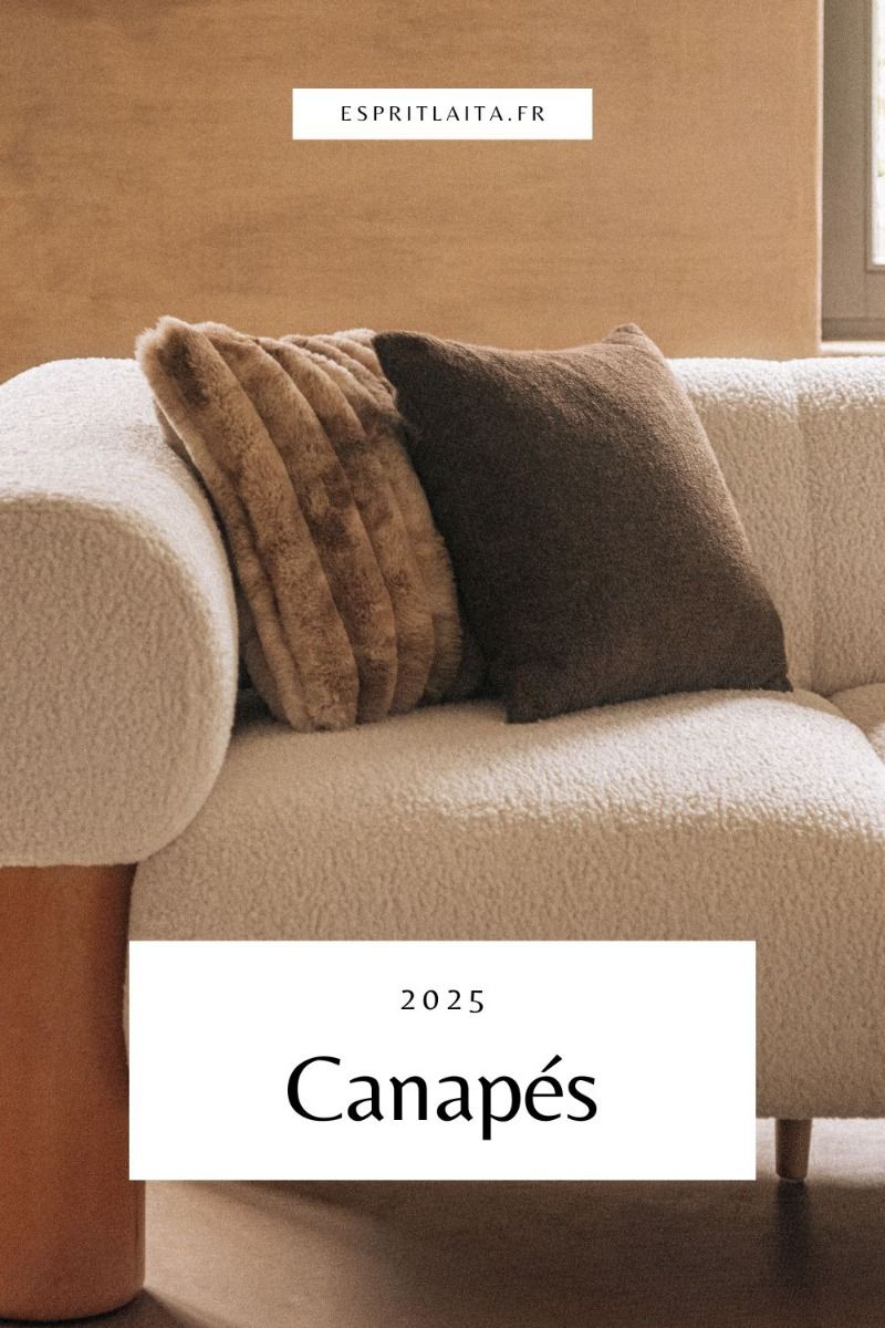 Coussins decoratifs pour les salons les fauteuils et les sols - idees et tendances