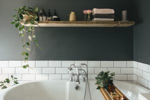 salle de bain avec plantes